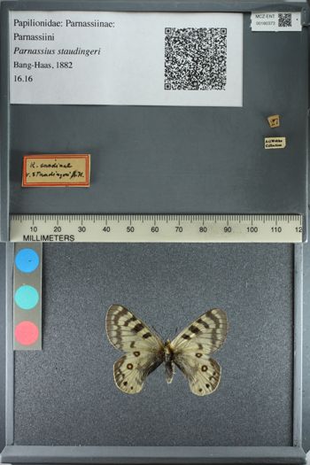 Media type: image;   Entomology 180373